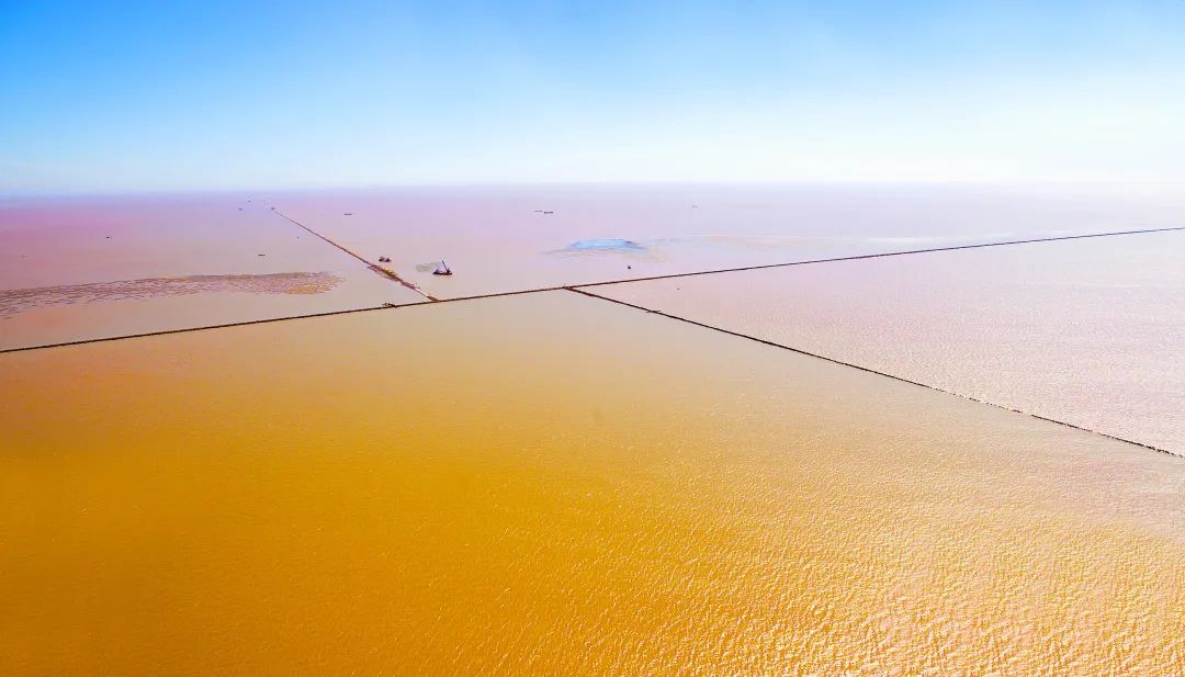 張玉卓、國資、央企、國資委、書記、主任、國企、企業改革