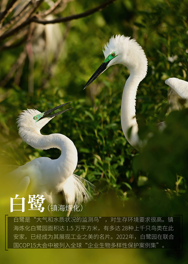 微信圖片_20240531093135 拷貝.jpg 微信圖片_20240531093135 拷貝.jpg