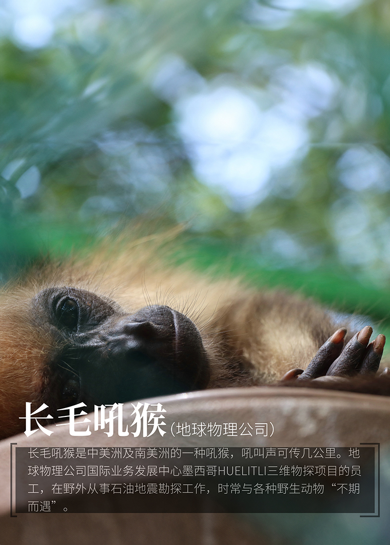 微信圖片_20240531093152.jpg 微信圖片_20240531093152.jpg