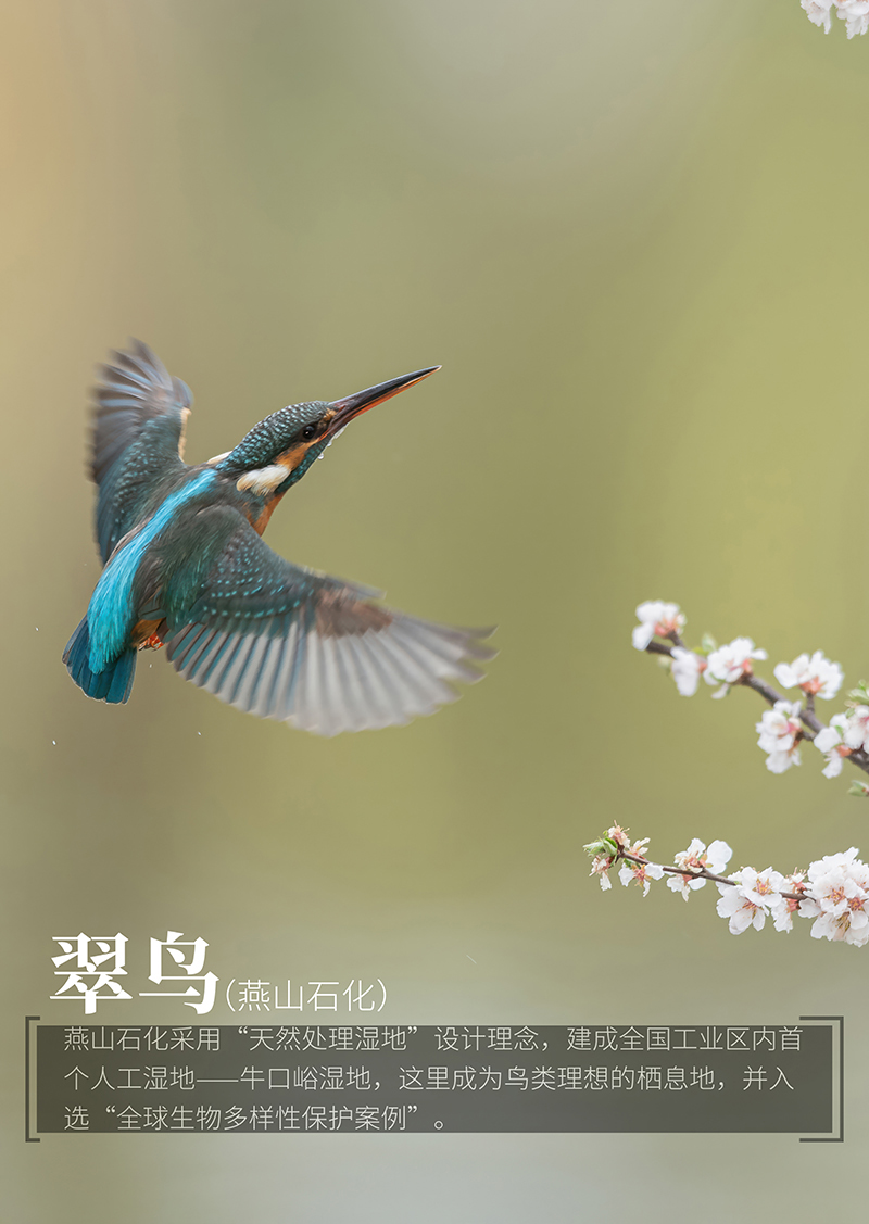 微信圖片_20240531093203.jpg 微信圖片_20240531093203.jpg