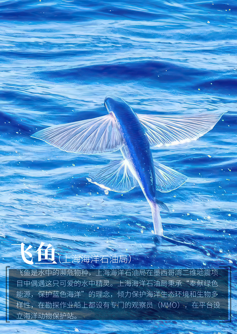 微信圖片_20240531093209.jpg 微信圖片_20240531093209.jpg