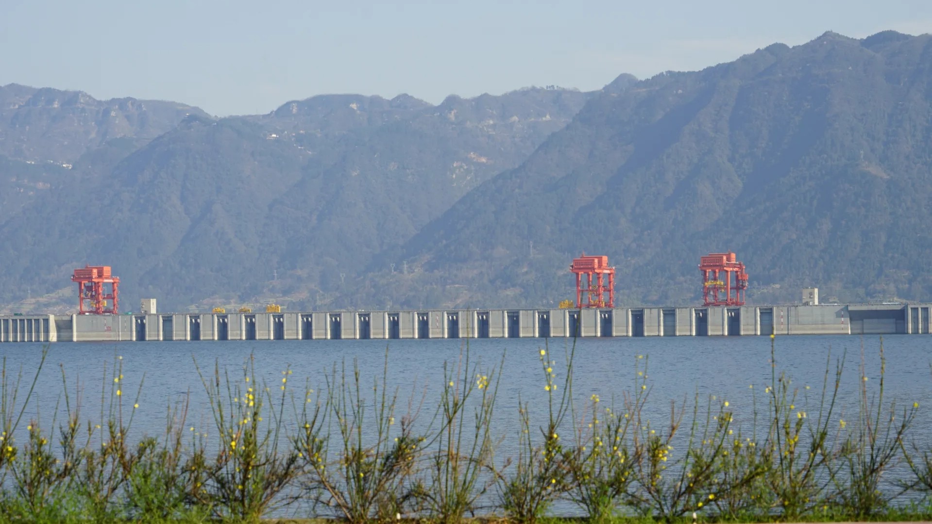 近期，世界最大水利樞紐三峽工程兩岸各色山花開放，春意正濃。中國三峽集團的攝影愛好者紛紛定格這美好的瞬間。（朱靜霞 攝）