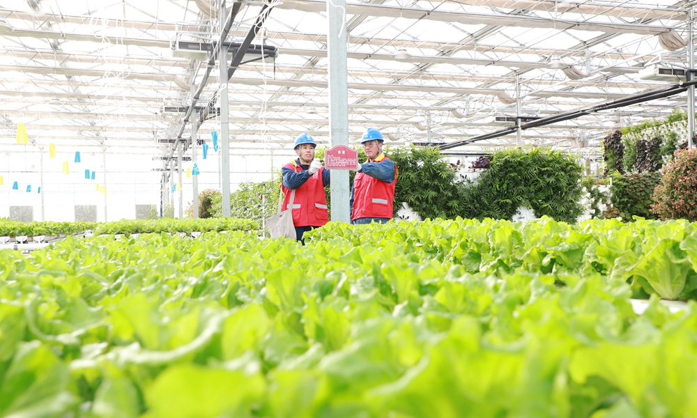 近日，國(guó)家電網(wǎng)冀北電力共產(chǎn)黨員服務(wù)隊(duì)隊(duì)員檢查溫室大棚用電設(shè)備。