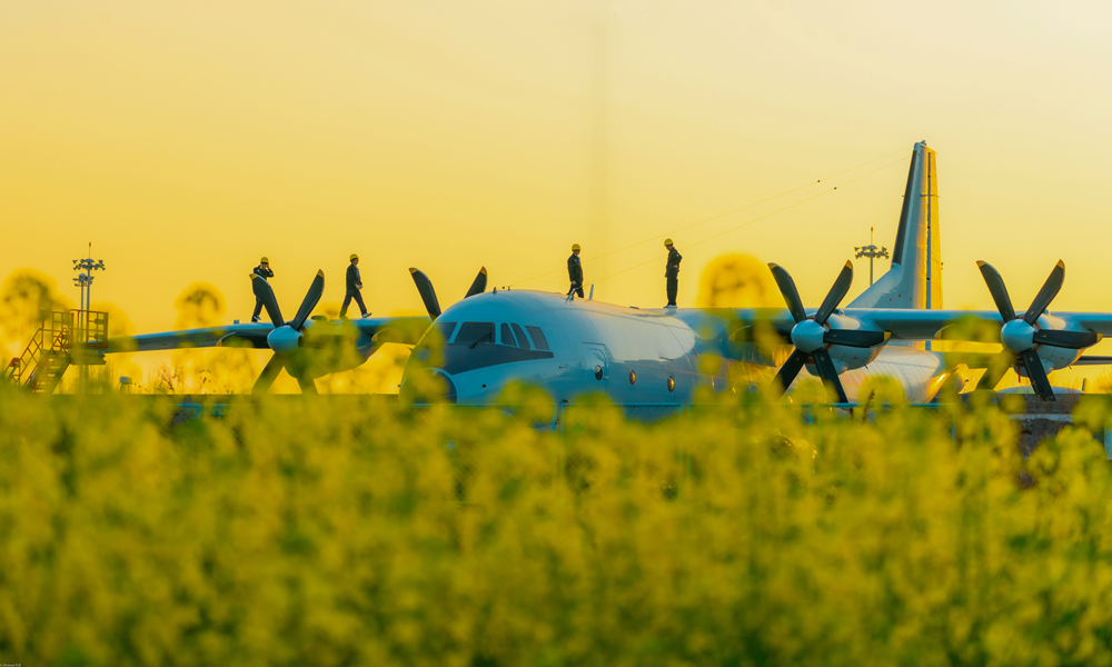 近日，運(yùn)9“徜徉”花海，一片生機(jī)盎然。岳書華 攝