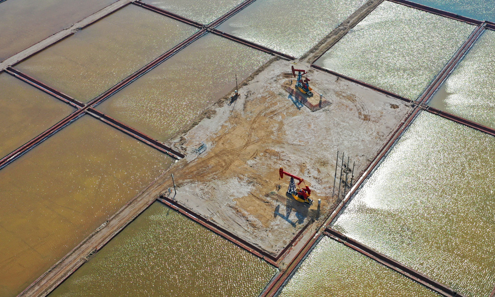 勝利油田五號(hào)樁區(qū)塊與周邊鹽田形成一幅和諧優(yōu)美的生態(tài)畫(huà)卷。