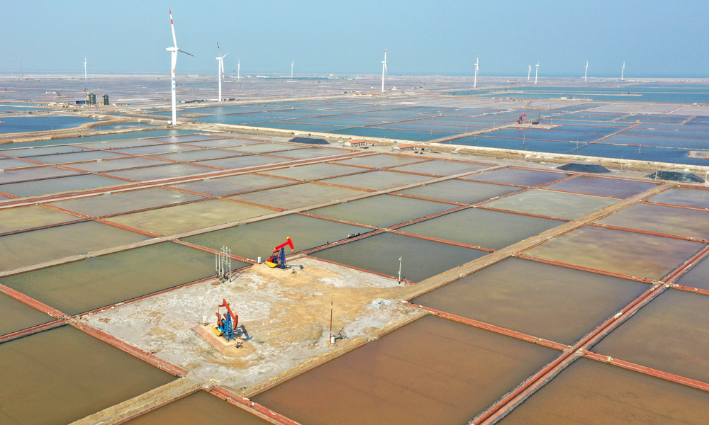 勝利油田五號(hào)樁區(qū)塊與周邊鹽田形成一幅和諧優(yōu)美的生態(tài)畫(huà)卷。