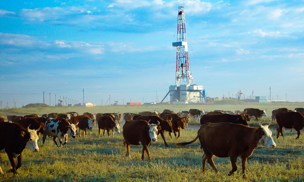 中國石油嚴格遵守業務所在國環境保護法律法規和相關國際準則，堅持“在開發中保護、在保護中開發”的可持續發展原則。圖為中國石油（哈薩克斯坦）阿克糾賓項目讓那若爾油田與草原和諧共存。
