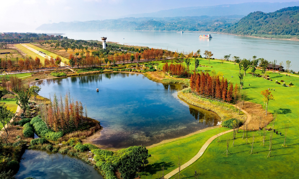 經過一期的生態修復示范和二期的適地性修復，項目團隊已形成特色鮮明的生態修復思想理論技術、產品材料工法和組織實施體系，使廣陽島的生態效益得以進一步凸顯。生態修復后，島內植物由383種增加至627種，動物由310種增加至458種，最大程度還原了消落帶生態系統的原真性和完整性。修復的環島步道全長11千米，四季景色宜人，可以看江、峽、山、島、灣，被重慶市民譽為“最美生態步道”，形成了以消落帶為著力點的山水林田湖草系統修復治理典型示范。