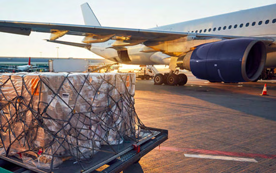 新春佳節之際，一場意義非凡的 “重逢” 正在悄然上演。中遠海運會展公司助力 1503 件流失海外的文物踏上歸鄉之路。這批文物歸鄉之路環節眾多、流程復雜，會展公司量身定制專業包裝方案，選派經驗豐富的海外操作人員同海關緊密配合，實現境內外4小時內迅速通關，將對珍貴文物的敬意與呵護融入每一個細節，確保文物歸家的每一步都堅實而可靠。