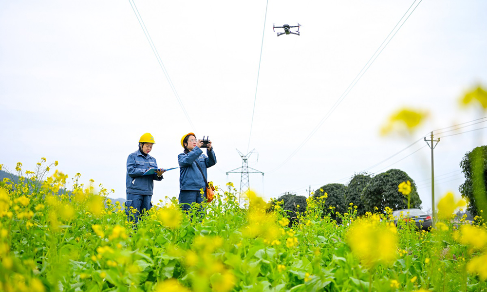 南方電網(wǎng)貴州凱里岑鞏供電局對10千伏水壩線的桿塔、絕緣子、導(dǎo)線、開關(guān)等進行逐一“體檢”，全力保障春耕生產(chǎn)電力供應(yīng)。