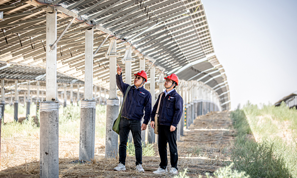 布設在光伏板下部的平單軸支架是真正的“追光使者”。結合太陽軌跡，高精度傾角傳感器可實現精準“追日”，提升15-20%的發電效能。項目人員定期巡查，消除隱患，確保光伏組件正常運轉，創造良好的經濟效益。