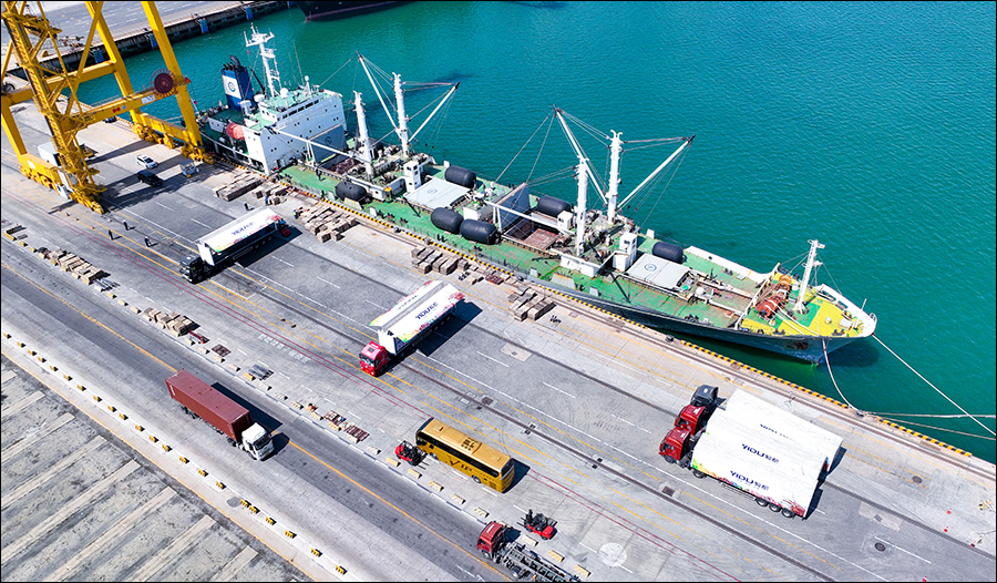 同比增長超兩成,上半年遼港集團集裝箱生產“成績單”亮眼5 (2)-ok.jpg 同比增長超兩成,上半年遼港集團集裝箱生產“成績單”亮眼5 (2)-ok.jpg