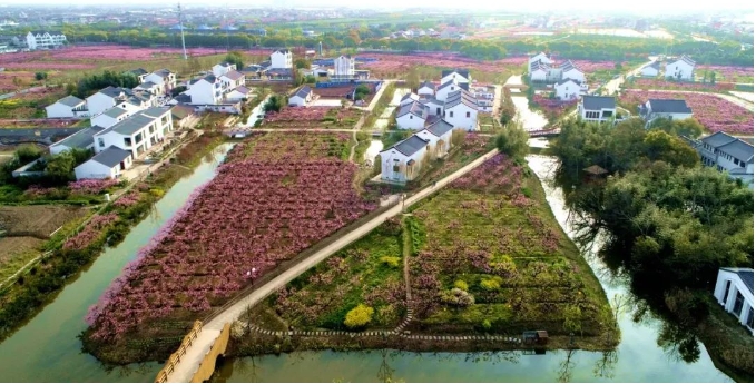 微信截圖_20240819113325.png 微信截圖_20240819113325.png